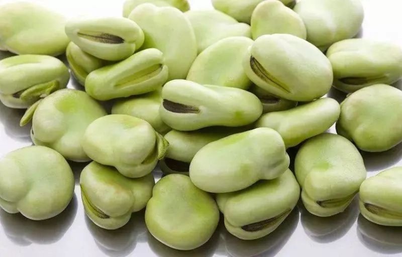 大连豆制品产业: 传统与创新的交融
