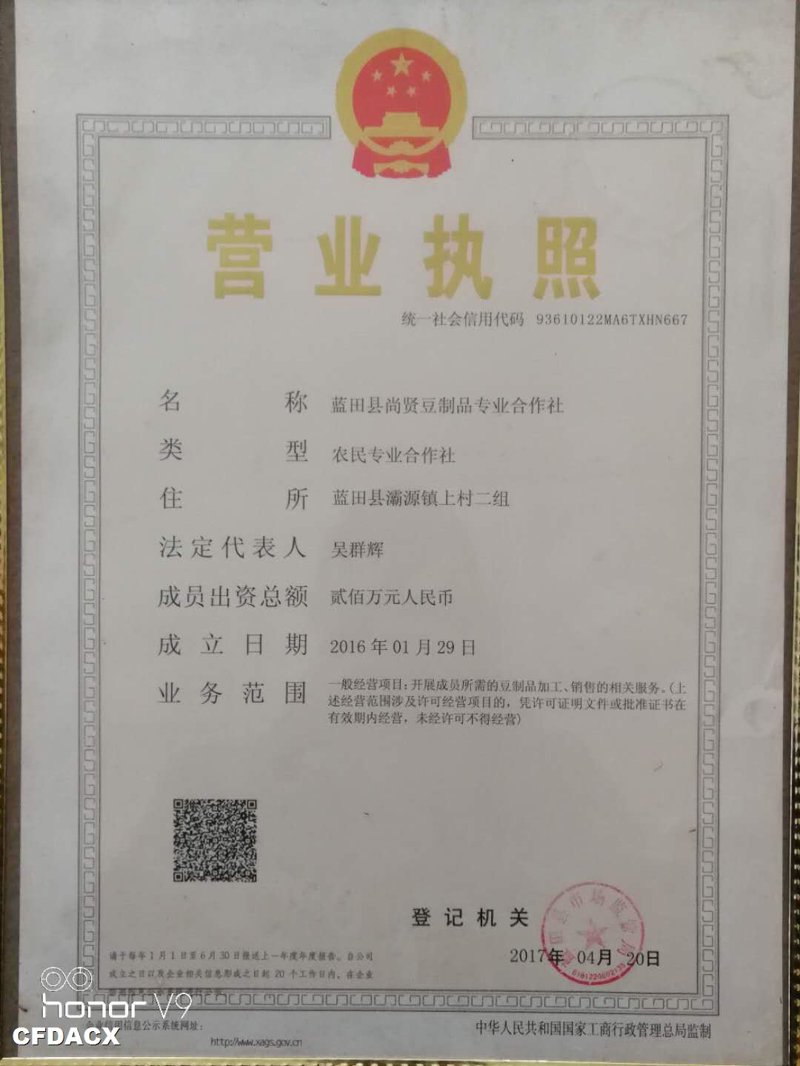 大连豆制品产业新动态